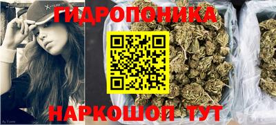 ECSTASY Будённовск