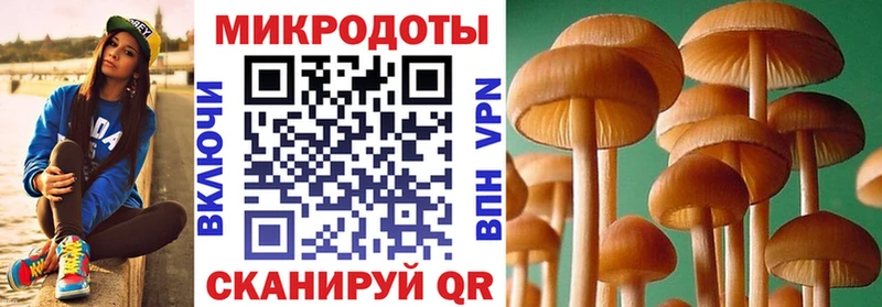 мега как зайти  Владивосток  Галлюциногенные грибы MAGIC MUSHROOMS  закладка 