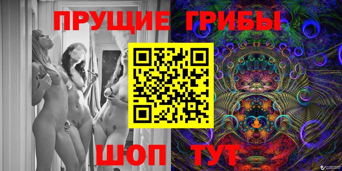 Галлюциногенные грибы Psilocybe Владивосток