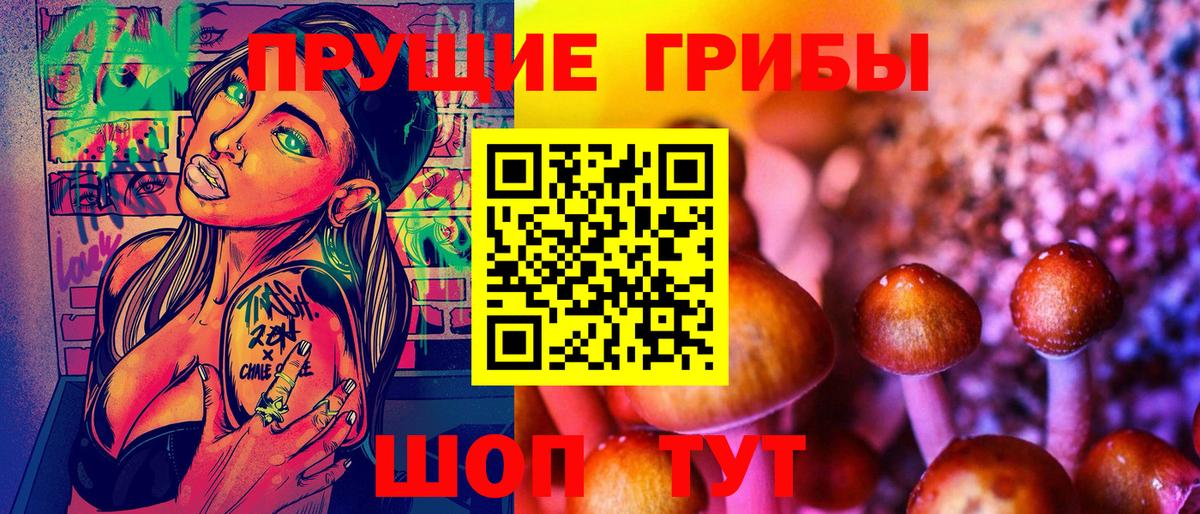 Галлюциногенные грибы Psilocybe  Вход с VPN  Владивосток 