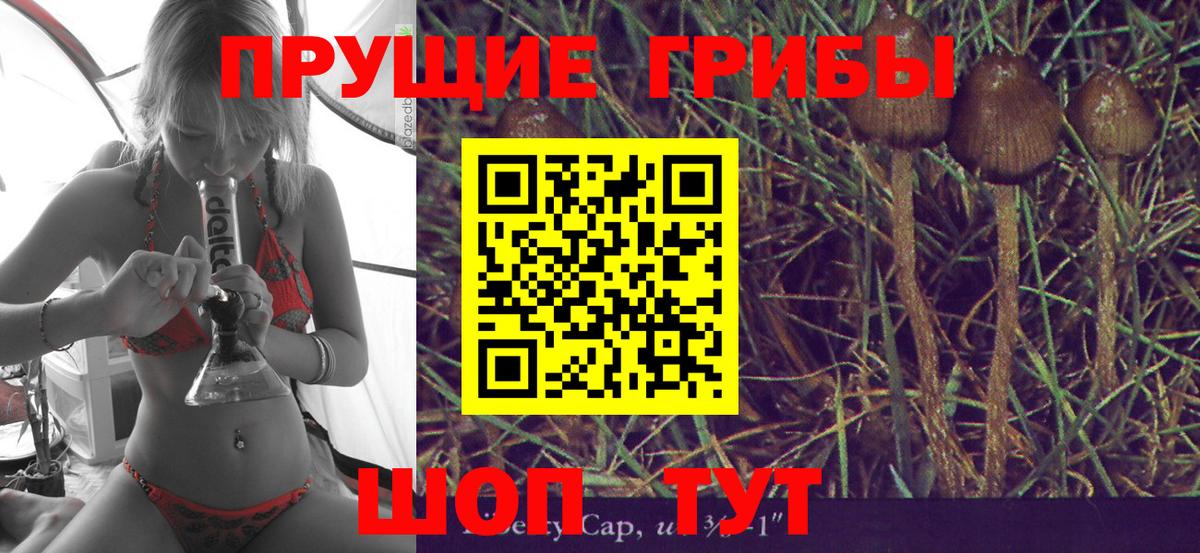 Псилоцибиновые грибы GOLDEN TEACHER Владивосток
